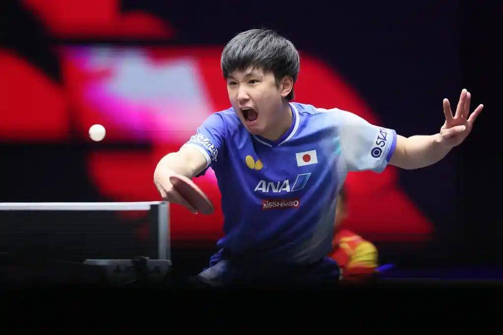 比利时乒乓球队绝杀德国乒乓球队，张本智和统治全场的简单介绍