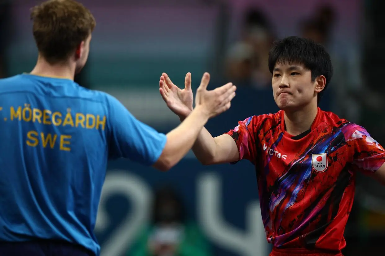 比利时乒乓球队绝杀德国乒乓球队，张本智和统治全场的简单介绍