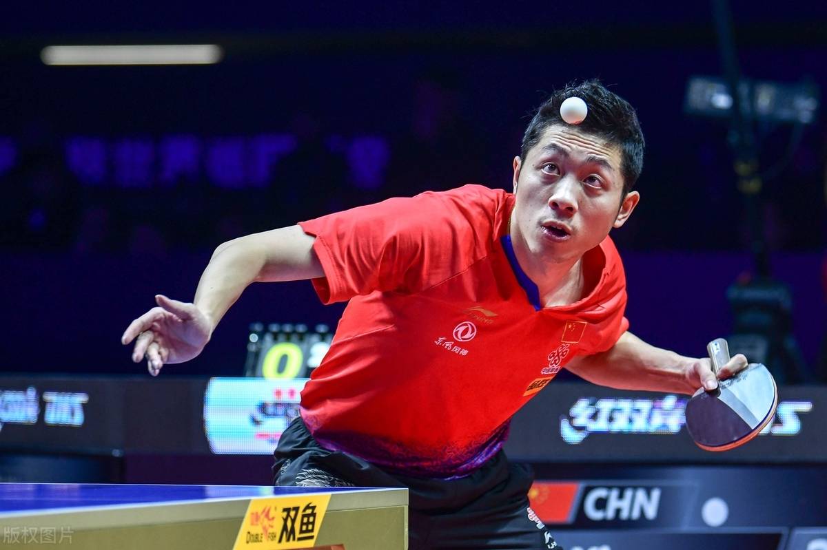 关于法国乒乓球队完胜波兰乒乓球队，许昕高光表现的信息