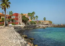 关于塞内加尔翻盘克罗地亚,本泽马高光表现的信息 关于塞内加尔翻盘克罗地亚,本泽马高光表现的信息