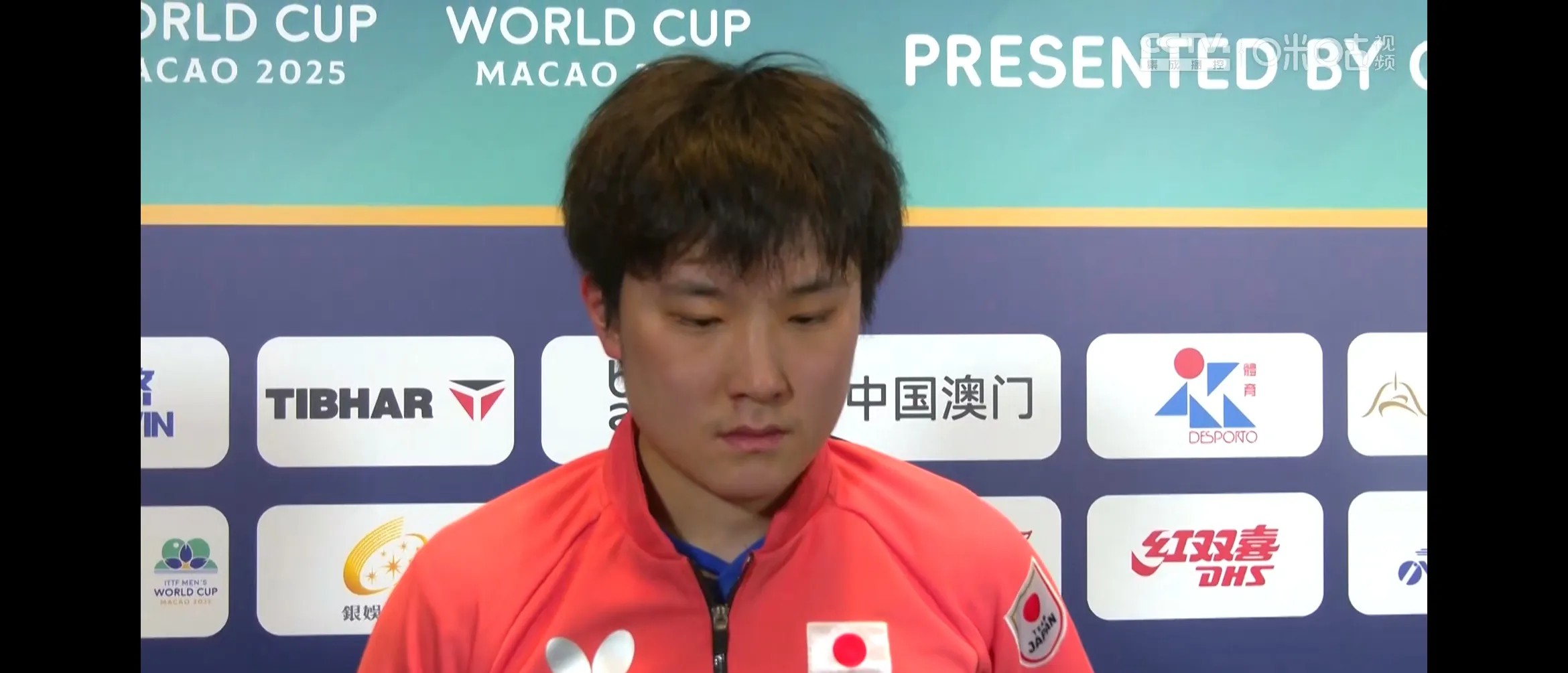 包含比利时乒乓球队血洗英国乒乓球队，张本智和高光表现的词条